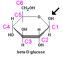 Beta-D-Glucose